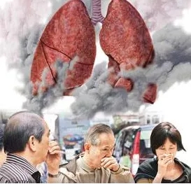 &#20248;&#20048;&#22253;