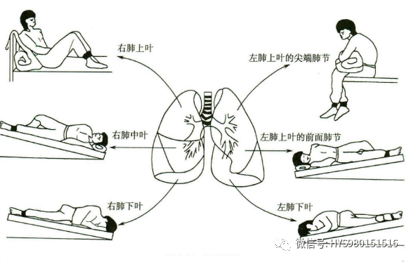 &#20248;&#20048;&#22253;