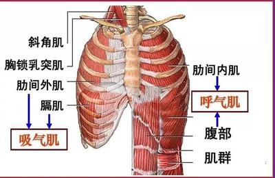 &#20248;&#20048;&#22253;