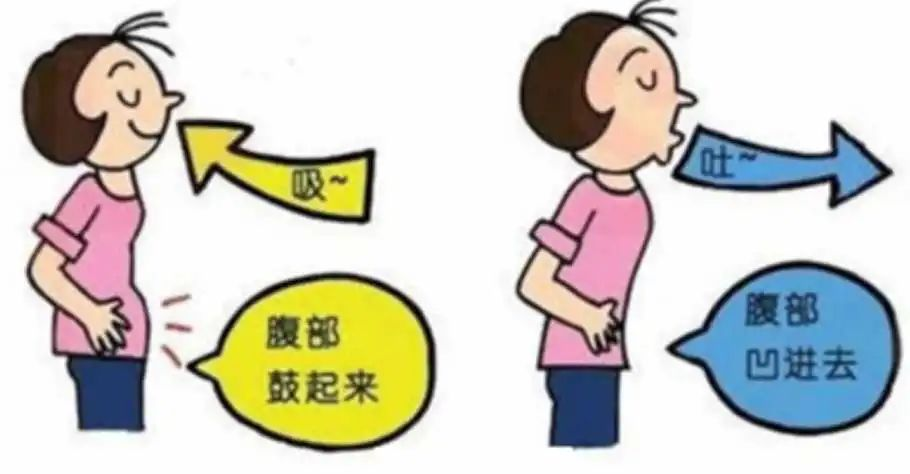 &#20248;&#20048;&#22253;