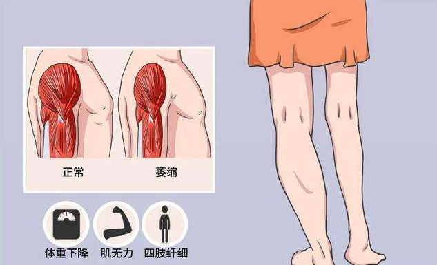 &#20248;&#20048;&#22253;