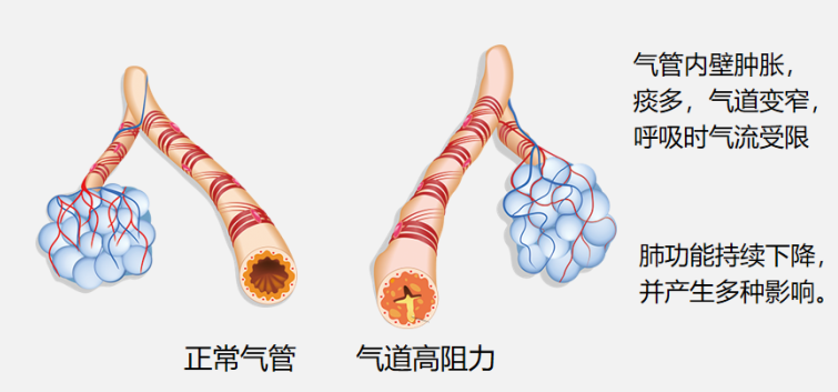 &#20248;&#20048;&#22253;